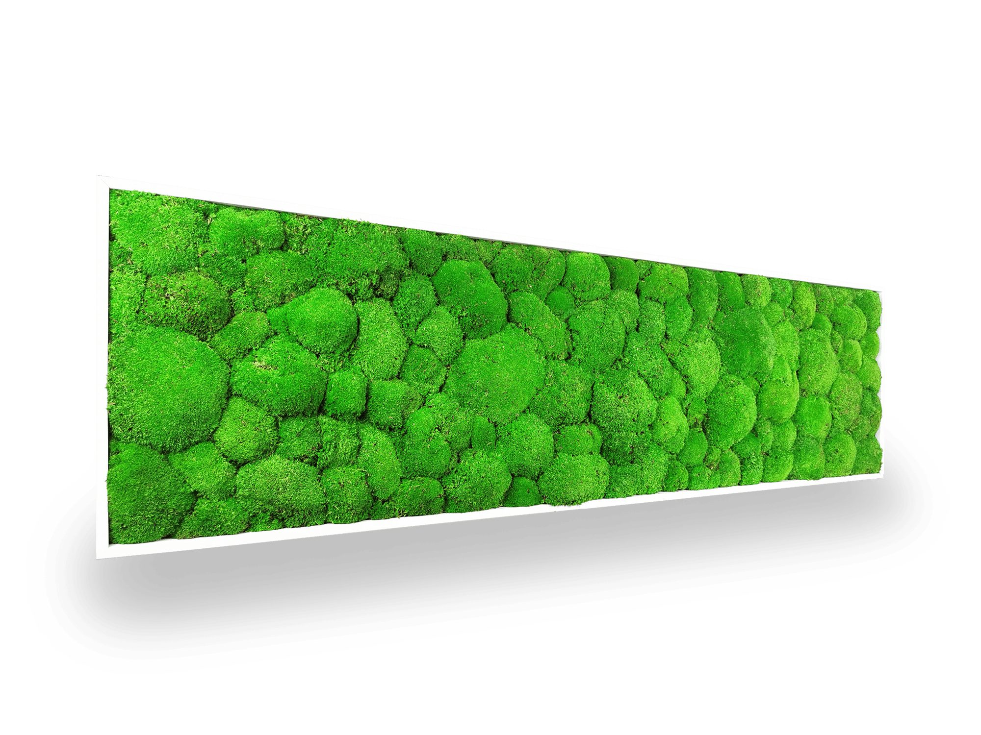 Tableau végétal stabilisé Sphere 40x140 cm cadre blanc - mousses boules vertes naturelles relief 3D - format rectangulaire vertical XXL - mur végétal moderne sans entretien arrosage fabrication française