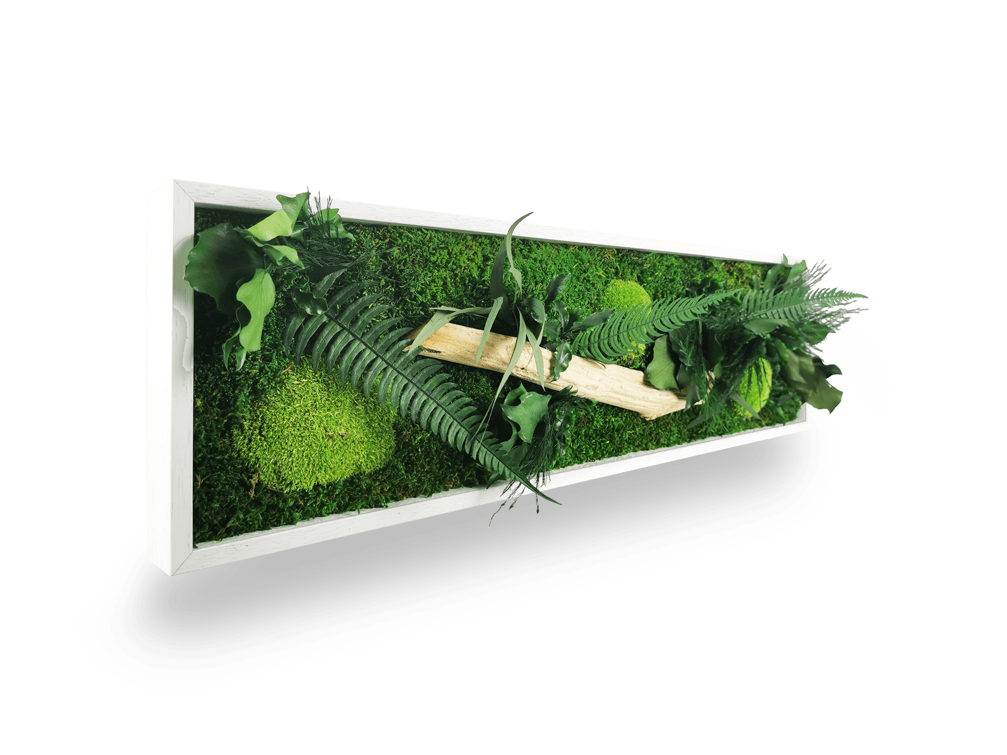 Tableau végétal naturel stabilisé Wood 20x70 cm - bois flotté central feuillages verts nuancés - composition végétale authentique zen - jardin vertical intérieur étroit sans eau lumière décoration tendance