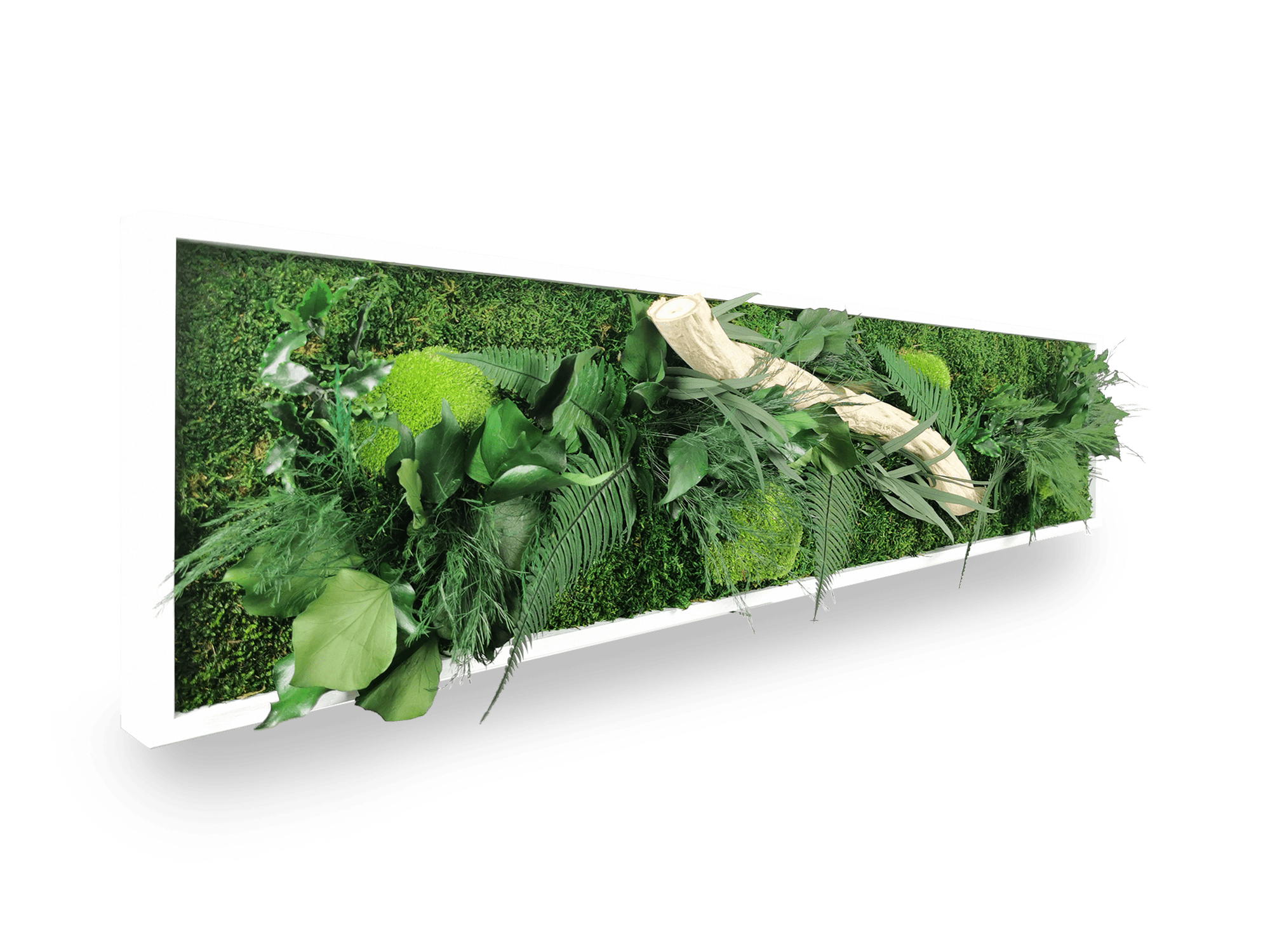 Tableau végétal naturel stabilisé Wood 25x115