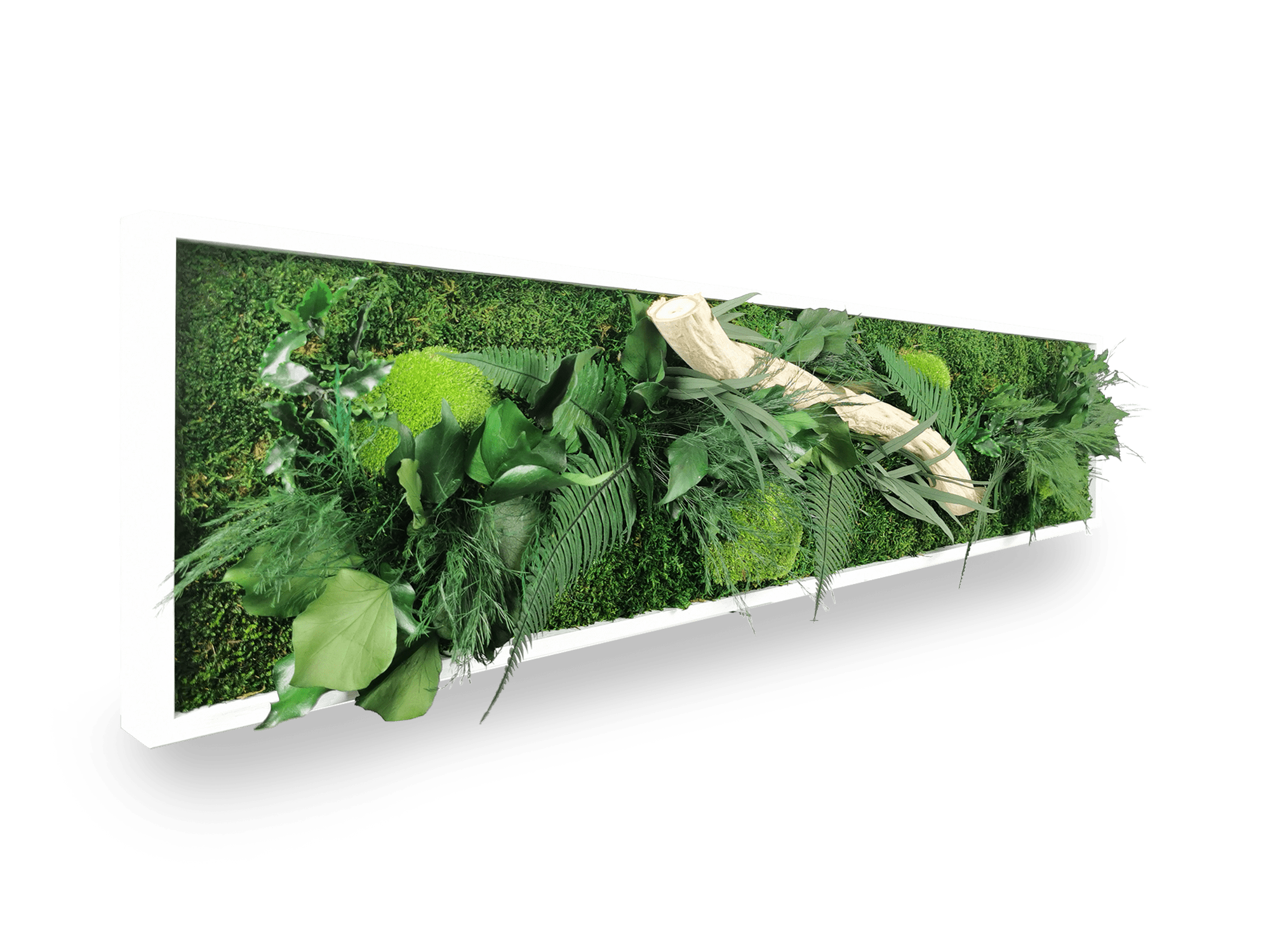 Tableau végétal naturel stabilisé Wood 25x115 cm - bois flotté central feuillages verts nuancés - composition végétale authentique zen - jardin vertical intérieur étroit sans eau lumière décoration tendance