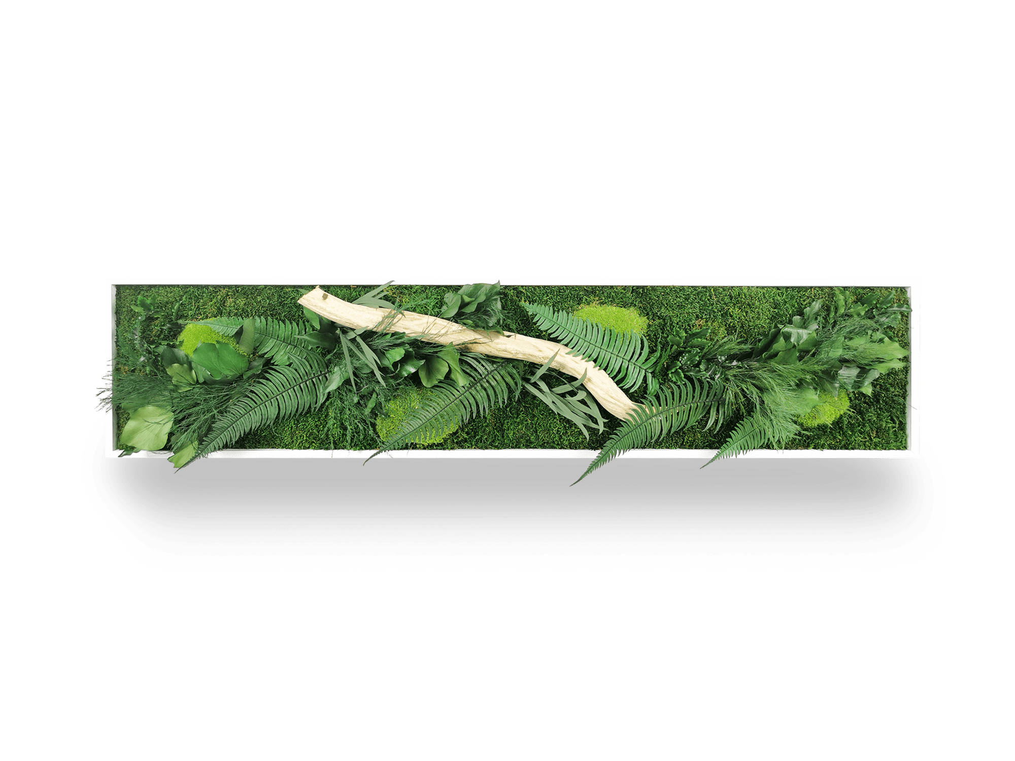 Tableau végétal stabilisé Wood 25x115 cm accroché mur salon - cadre blanc épuré bois flotté central format étroit vertical - mur végétal décoratif naturel - idéal couloir entrée bureau sans arrosage