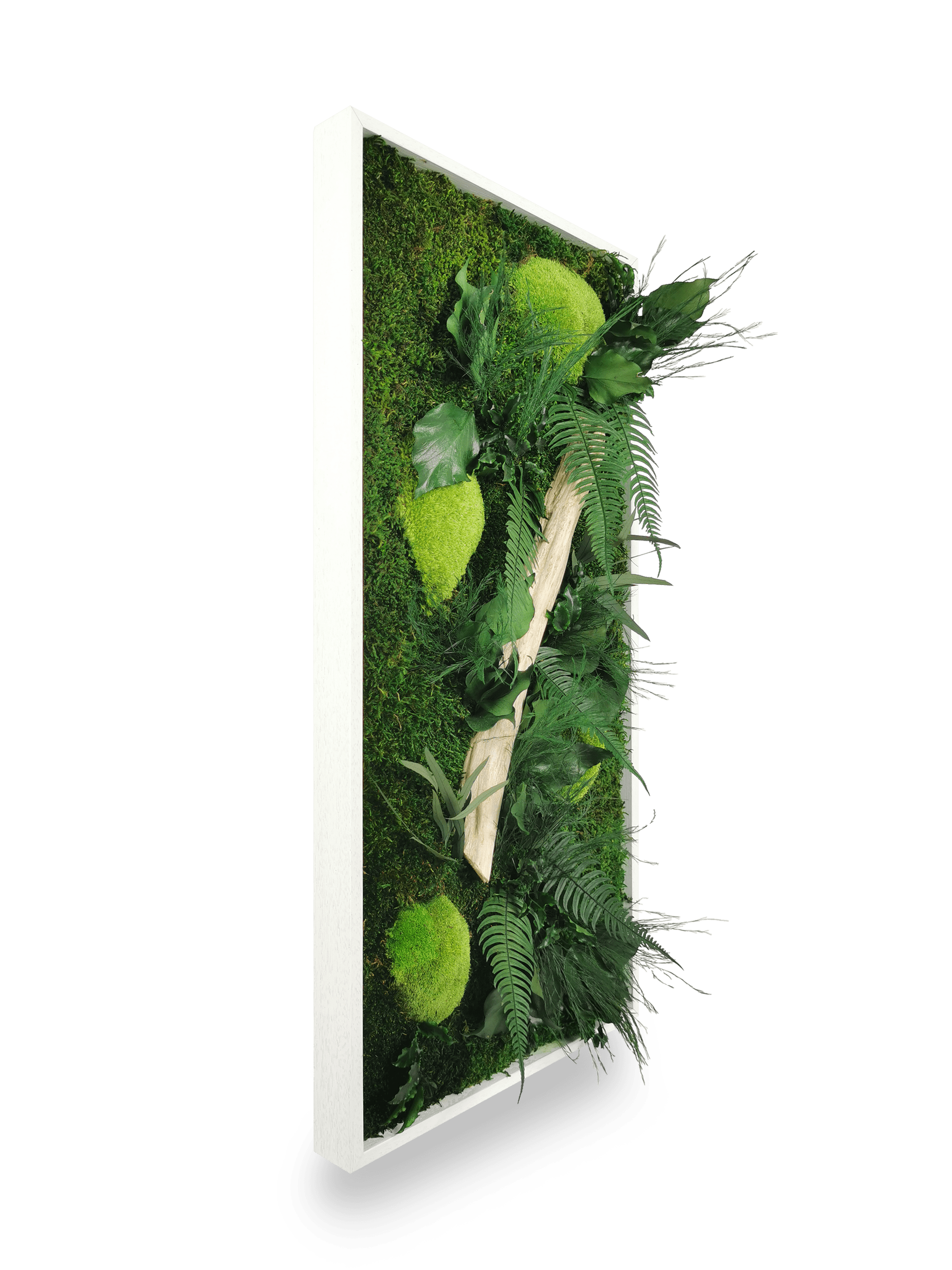 Tableau végétal naturel stabilisé Wood 34x74