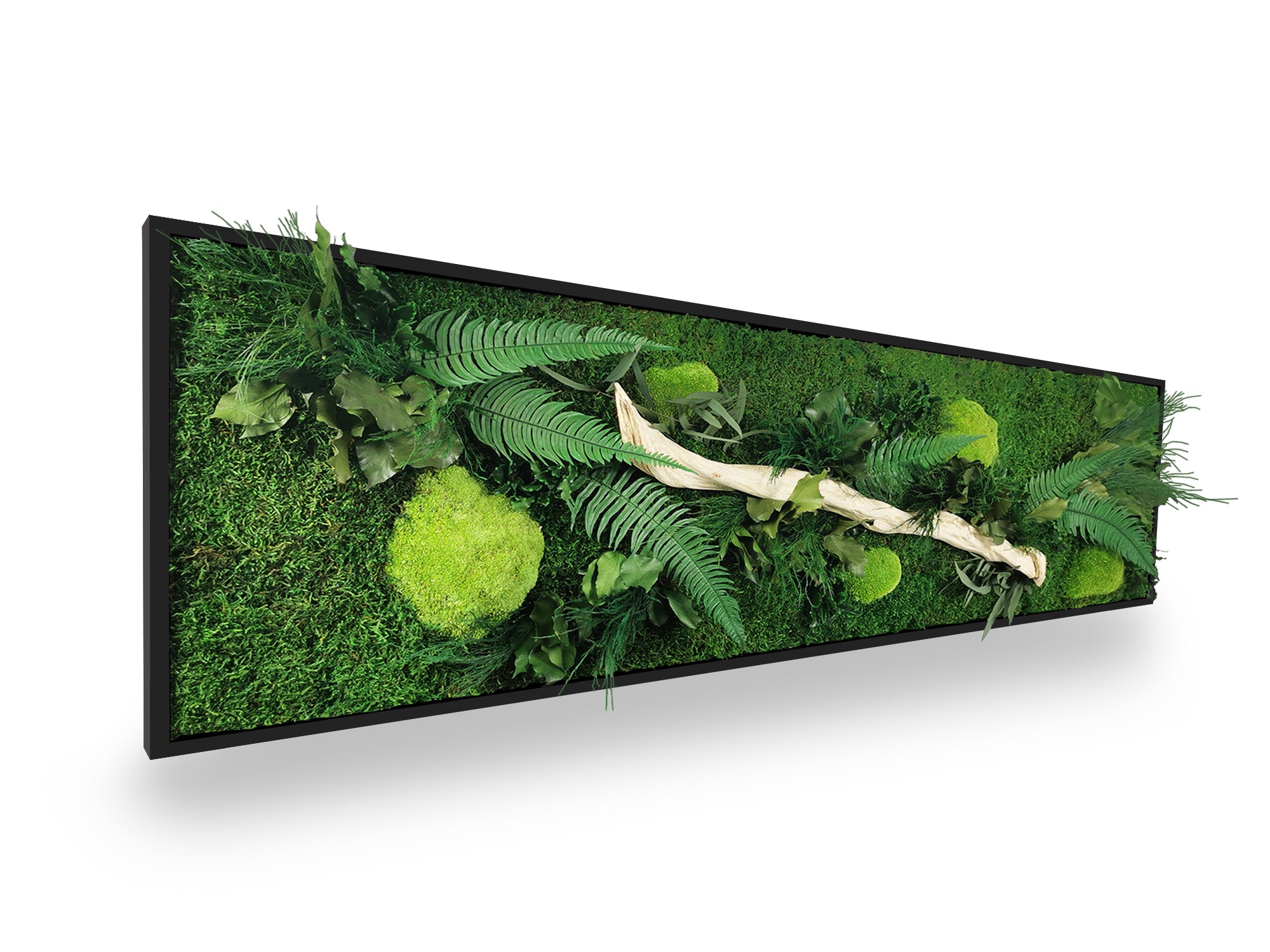 Tableau végétal stabilisé Wood 40x140 cm cadre noir mat moderne - bois flotté naturel fougères eucalyptus pittosporum - mur végétal design contemporain industriel - décoration végétale tendance sans entretien