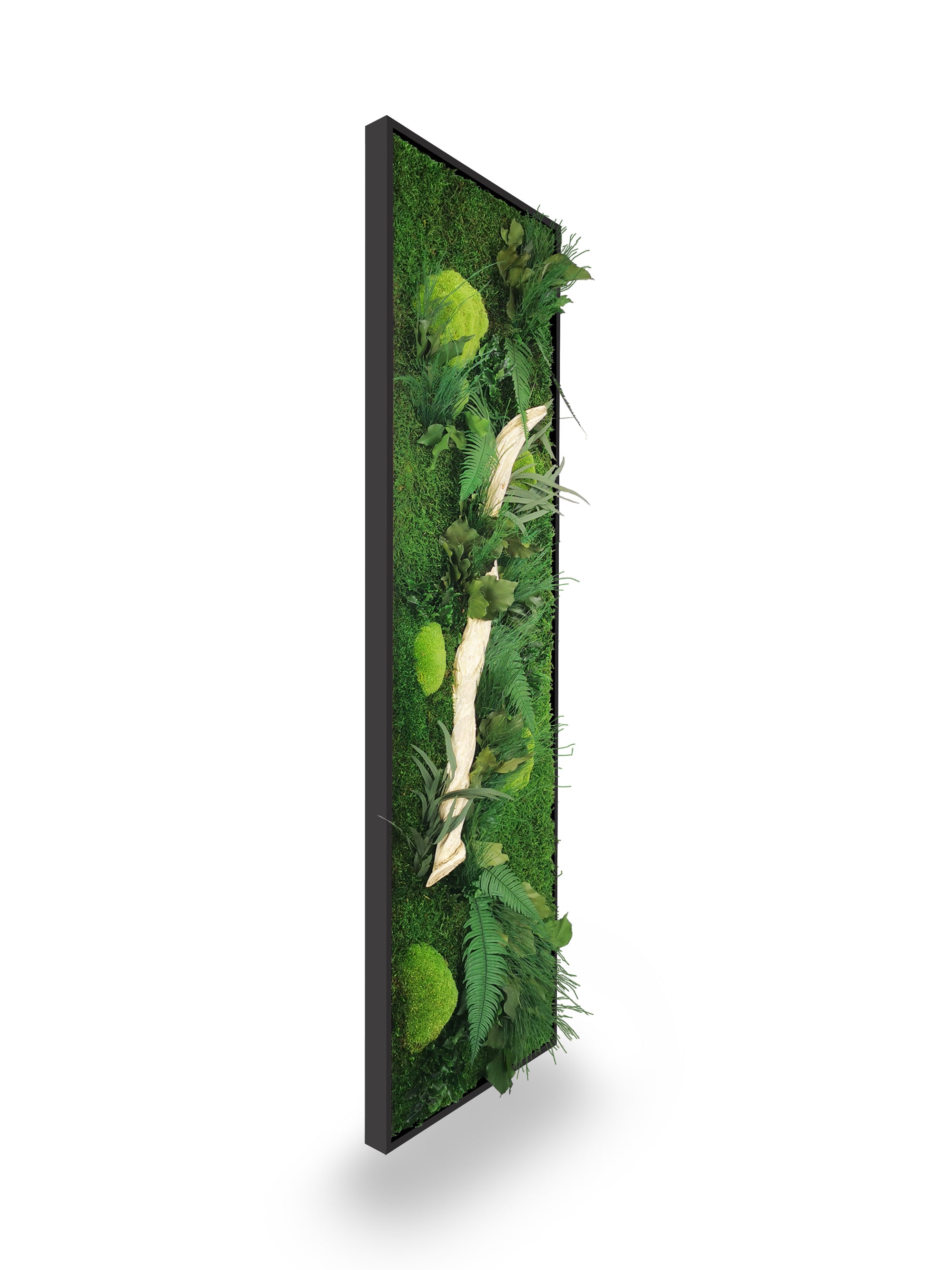 Détail texture tableau végétal Wood 40x140 cm cadre noir - bois flotté naturel fougères eucalyptus pittosporum stabilisés - ambiance nature authentique zen - décoration végétale écologique bureau maison hôtel