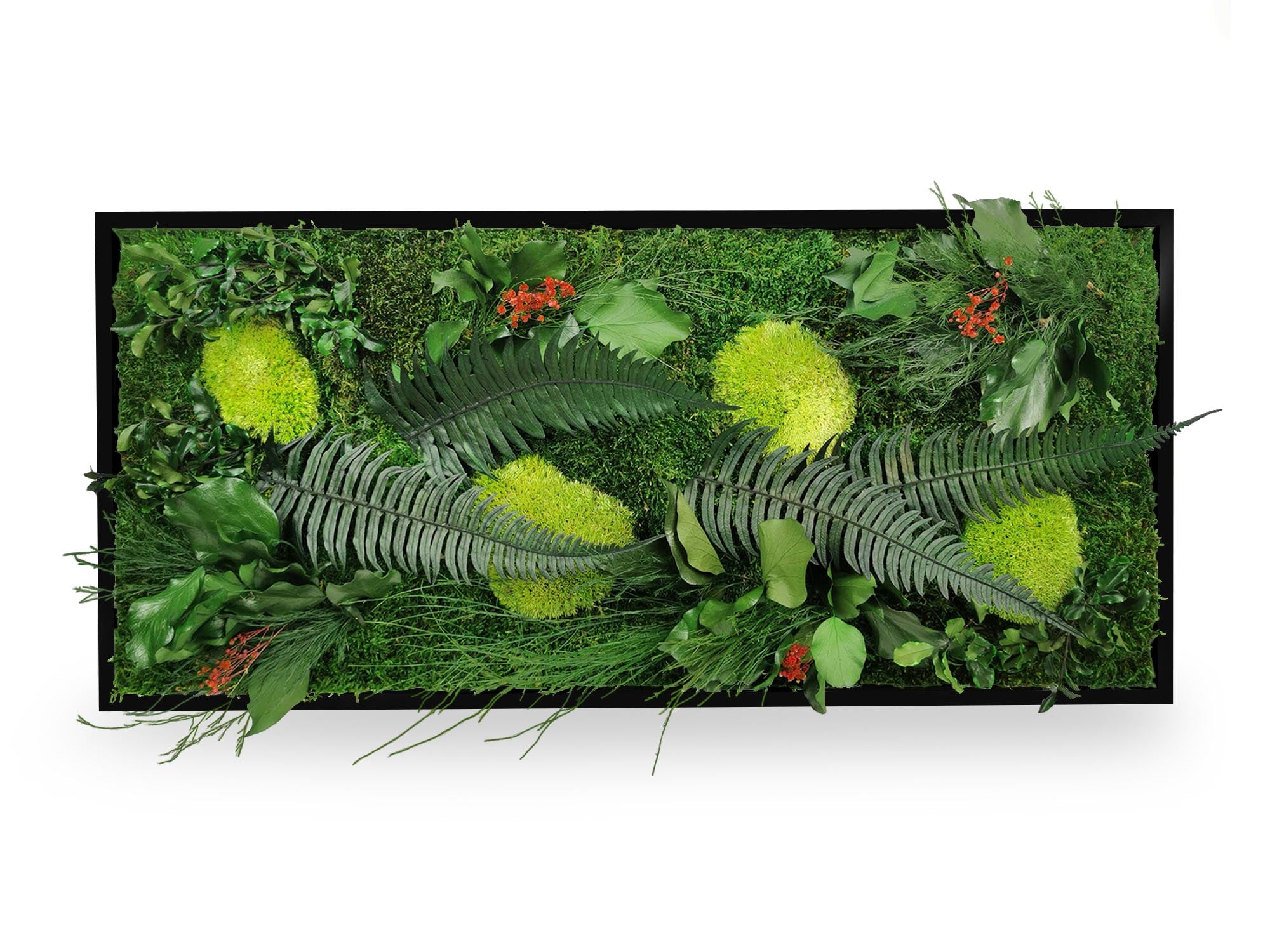 Tableau végétal stabilisé Elegance 34x74 cm cadre noir variante rouge - mousses rouges bordeaux fougères naturelles - jardin vertical coloré original - décoration végétale design contemporain sans arrosage