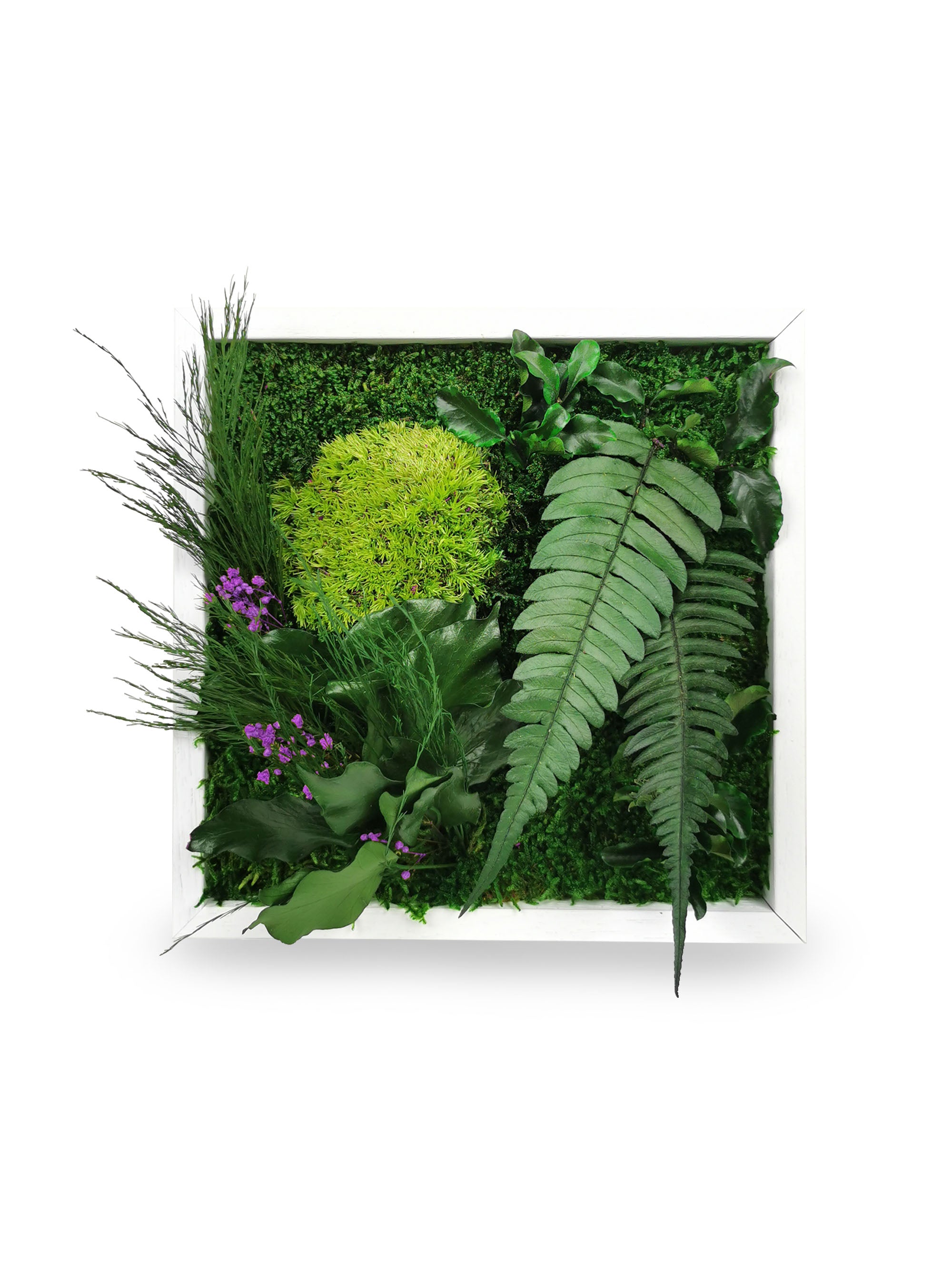 Tableau végétal naturel stabilisé Elegance 22x22