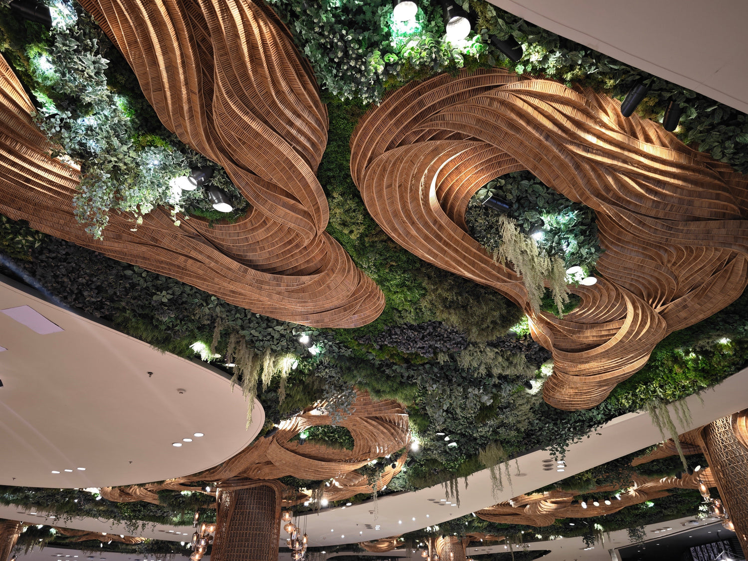 Plafonds Végétaux : La Nouvelle Tendance Déco Naturelle pour Vos Espaces !