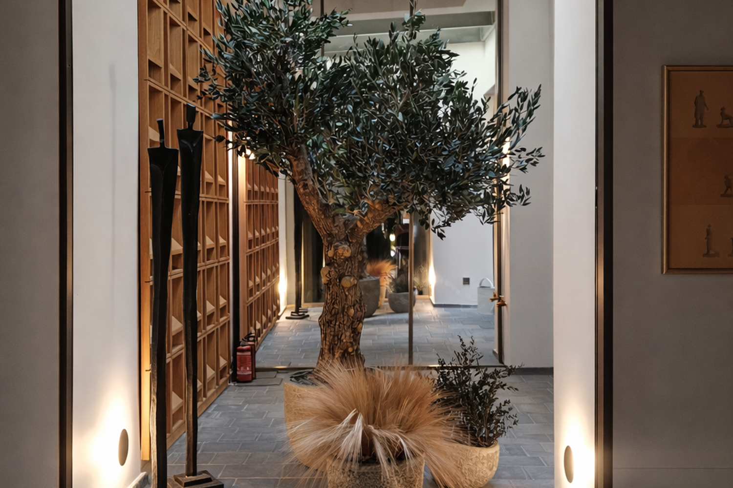 Olivier naturel stabilisé - Paris (Île-de-France)