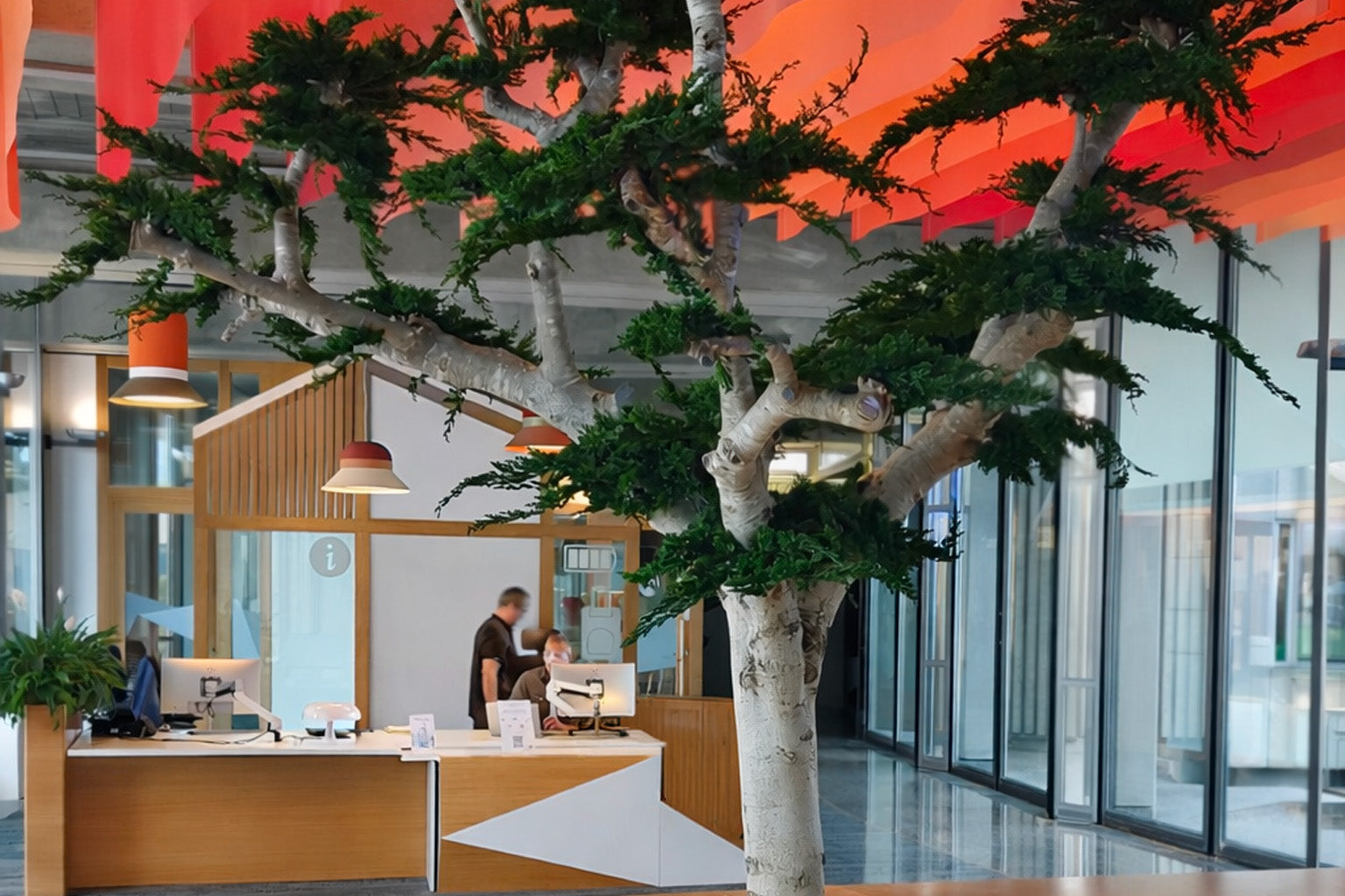 Arbre naturel stabilisé sur mesure - MAIF, Niort (Nouvelle Aquitaine)
