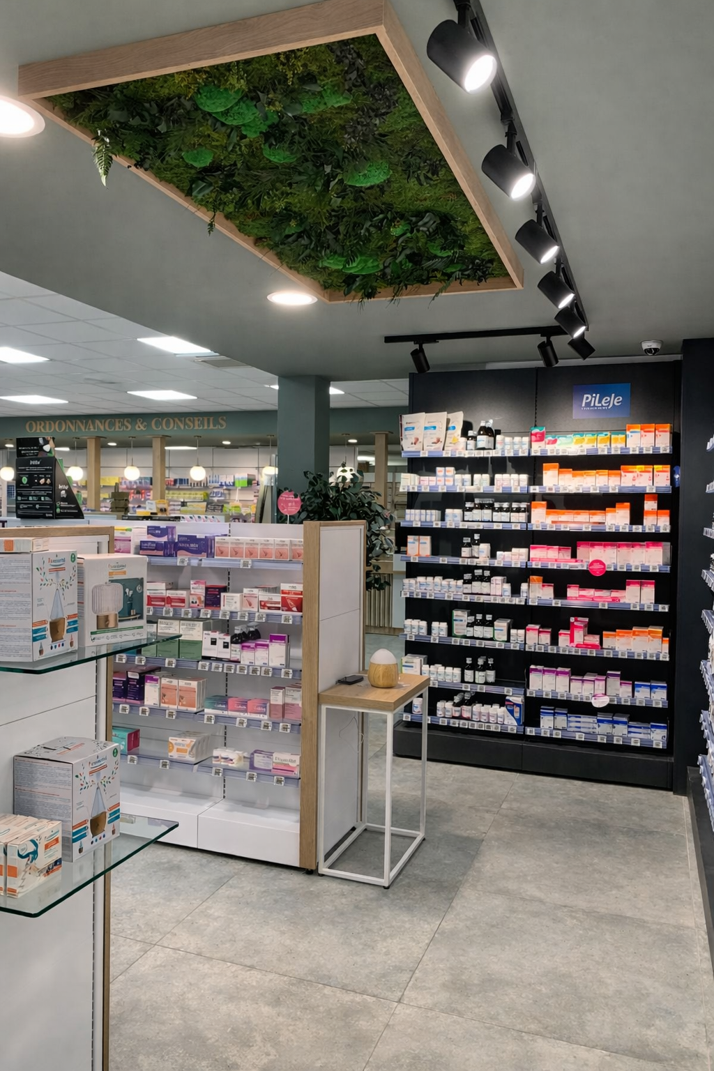 Plafond végétal naturel stabilisé sur-mesure - Pharmacie, Tartas (Landes)