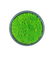 Tableau végétal naturel stabilisé rond lichen 30