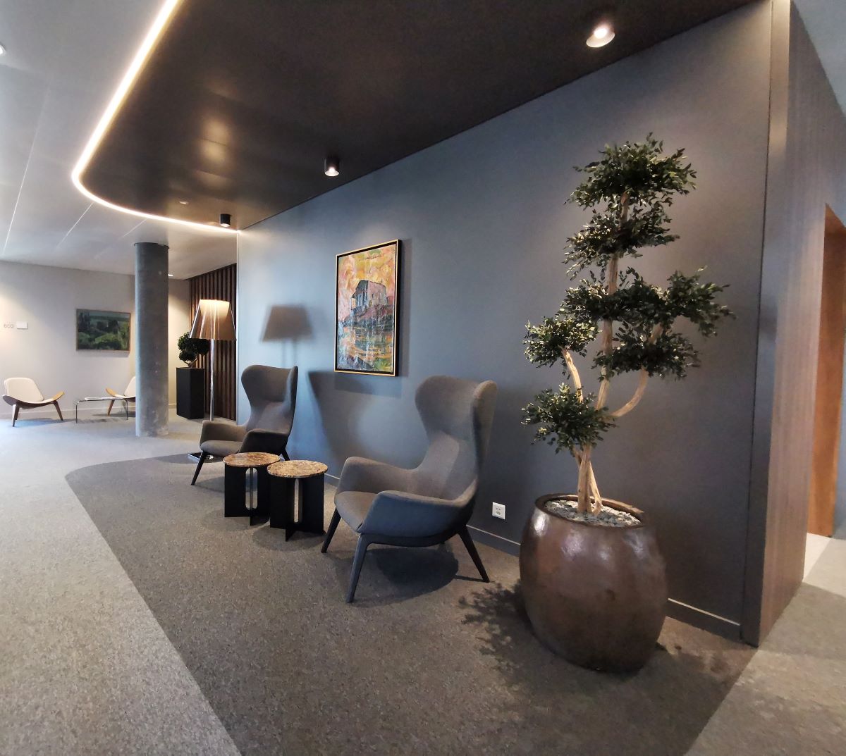 Arbre Eucalyptus Parvifolia stabilisé nuage installé intérieur professionnel - forme topiaire sphères multiples - décoration végétale haut gamme zen - plante stabilisée sans entretien hôtel restaurant spa
