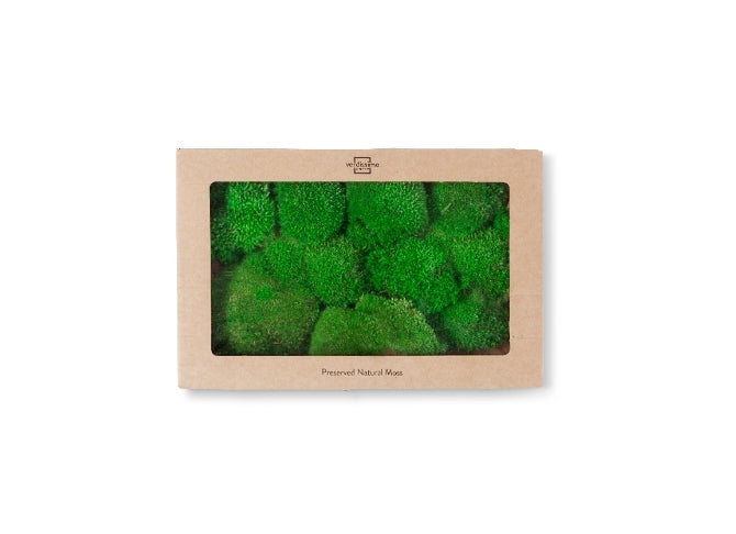 mousse stabilisée plate décoration murale bureau moderne
mousse stabilisée boule relief acoustique salle réunion
mousse stabilisée lichen colorée aménagement intérieur design
mousse stabilisée verte naturelle tableau végétal premium
mousse stabilisée sans entretien décoration professionnelle
