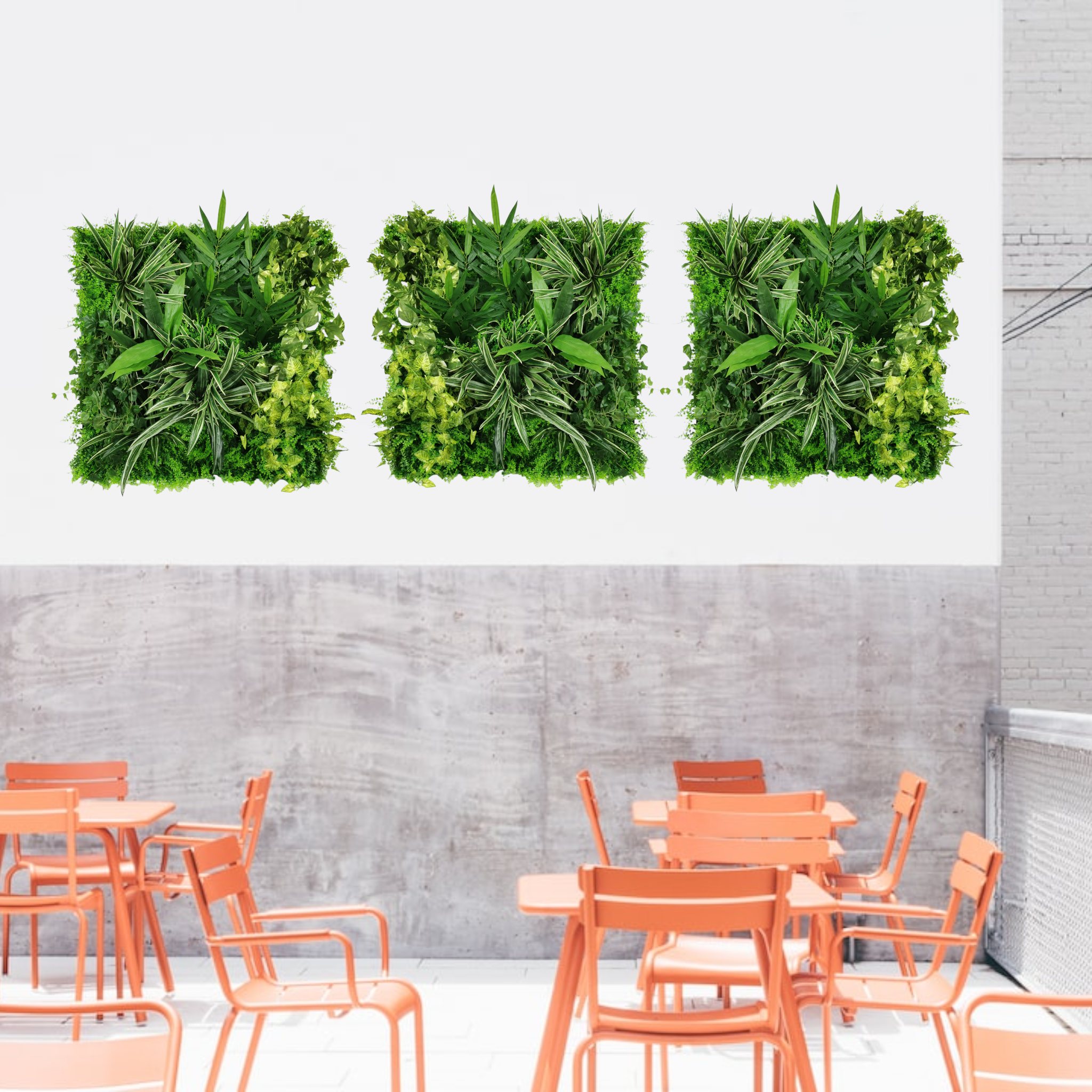 Tableau végétal mural stabilisé de 100cm en ligne