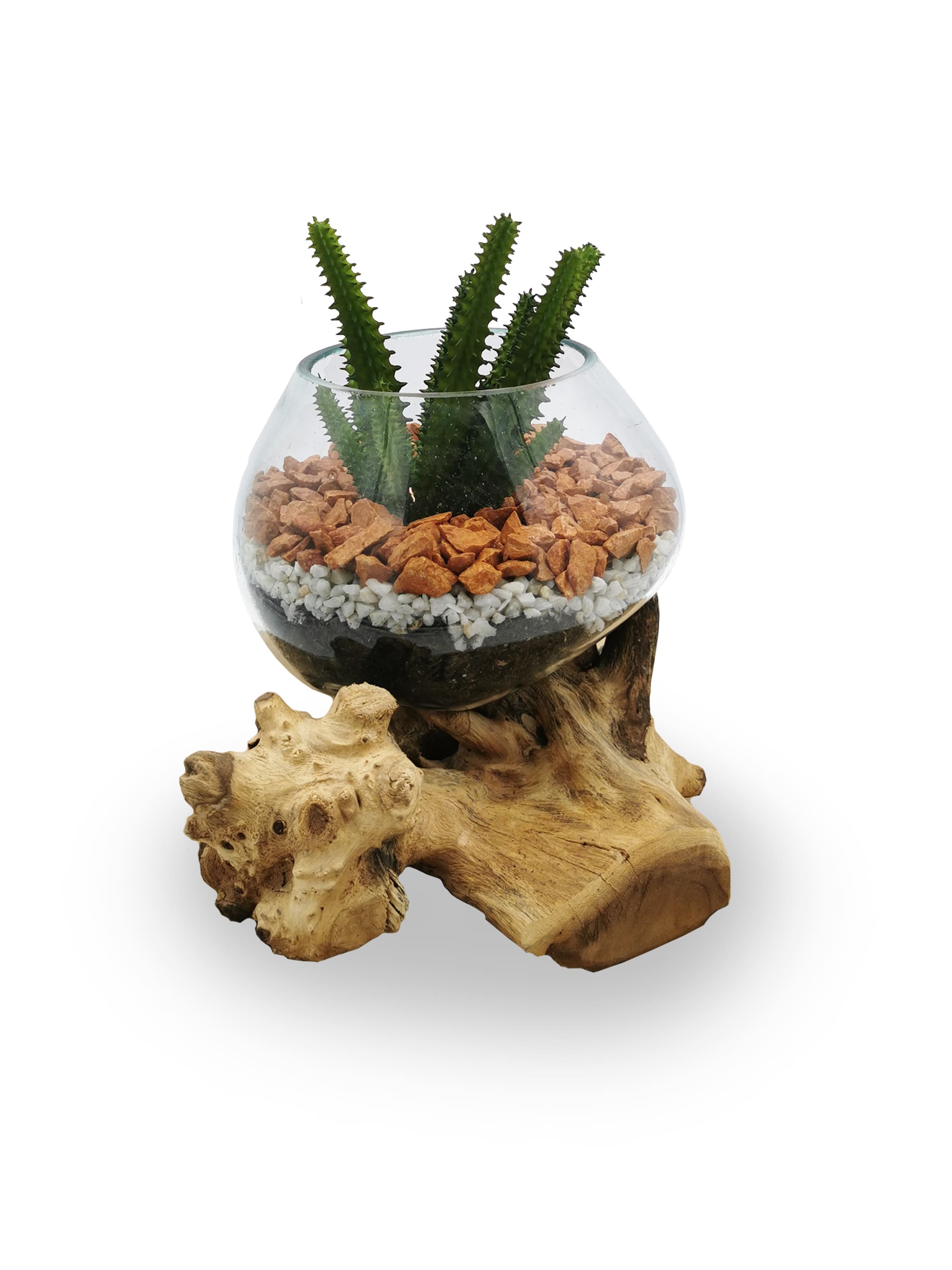 Terrarium artificiel végétale Calie Aloé/Cactus/Agave