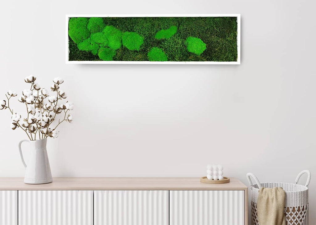 Tableau végétal stabilisé Moss 20x70 cm cadre blanc - mousses plates boules vertes naturelles - format rectangulaire vertical étroit - mur végétal moderne épuré sans entretien arrosage fabrication française