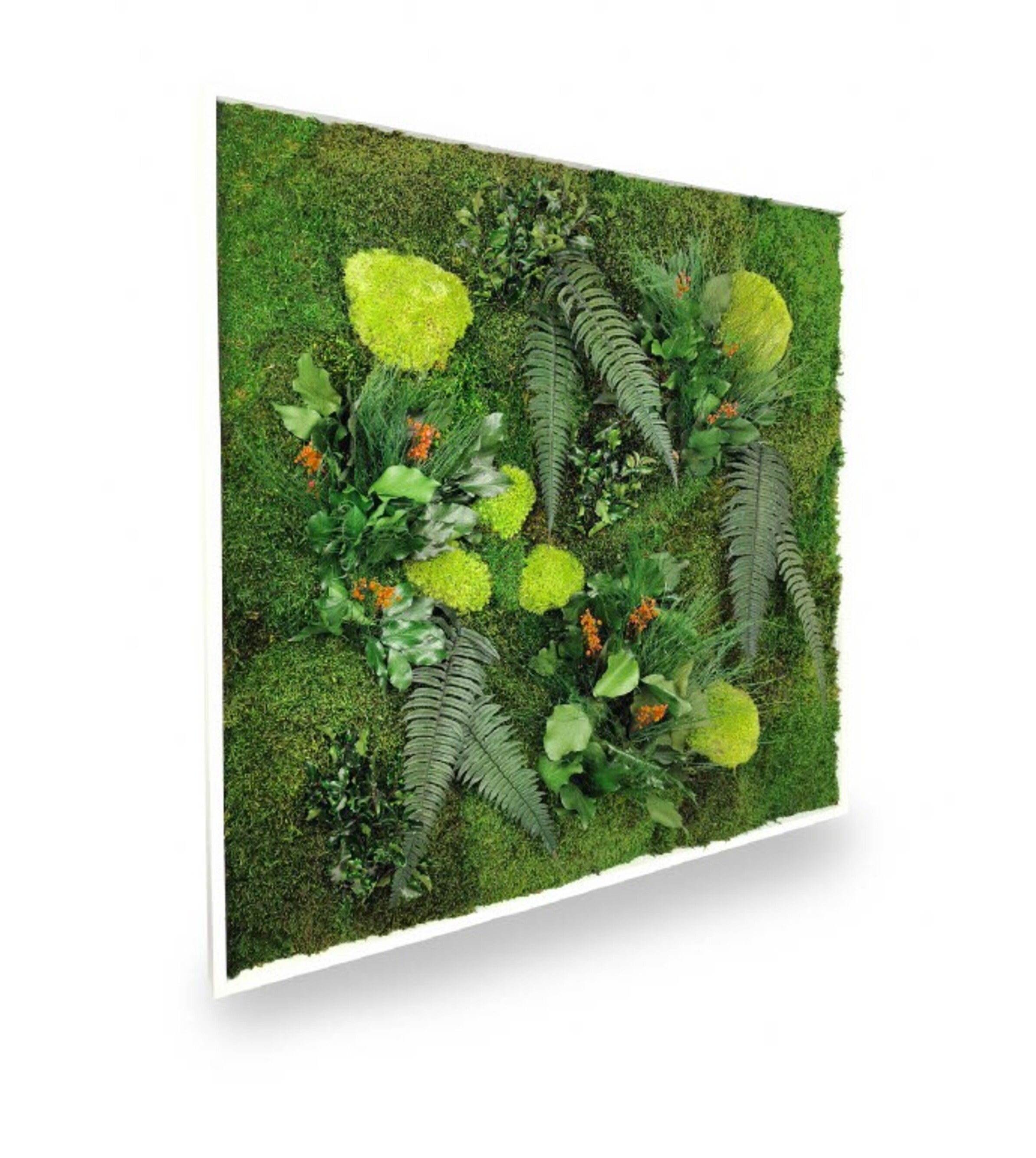 Tableau Végétal Naturel Stabilisé Elegance 80x80