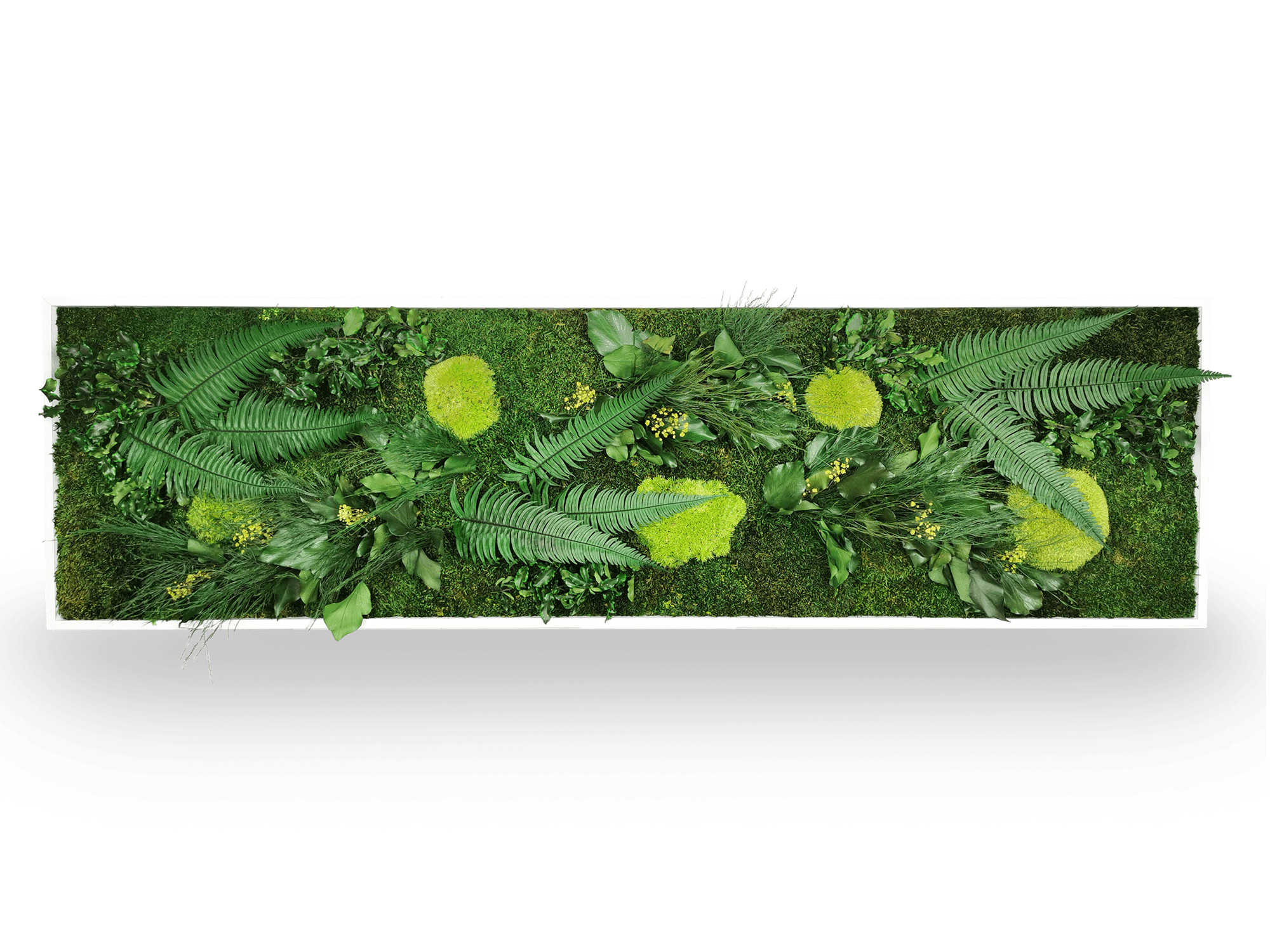 Tableau végétal naturel stabilisé Elegance 40x140