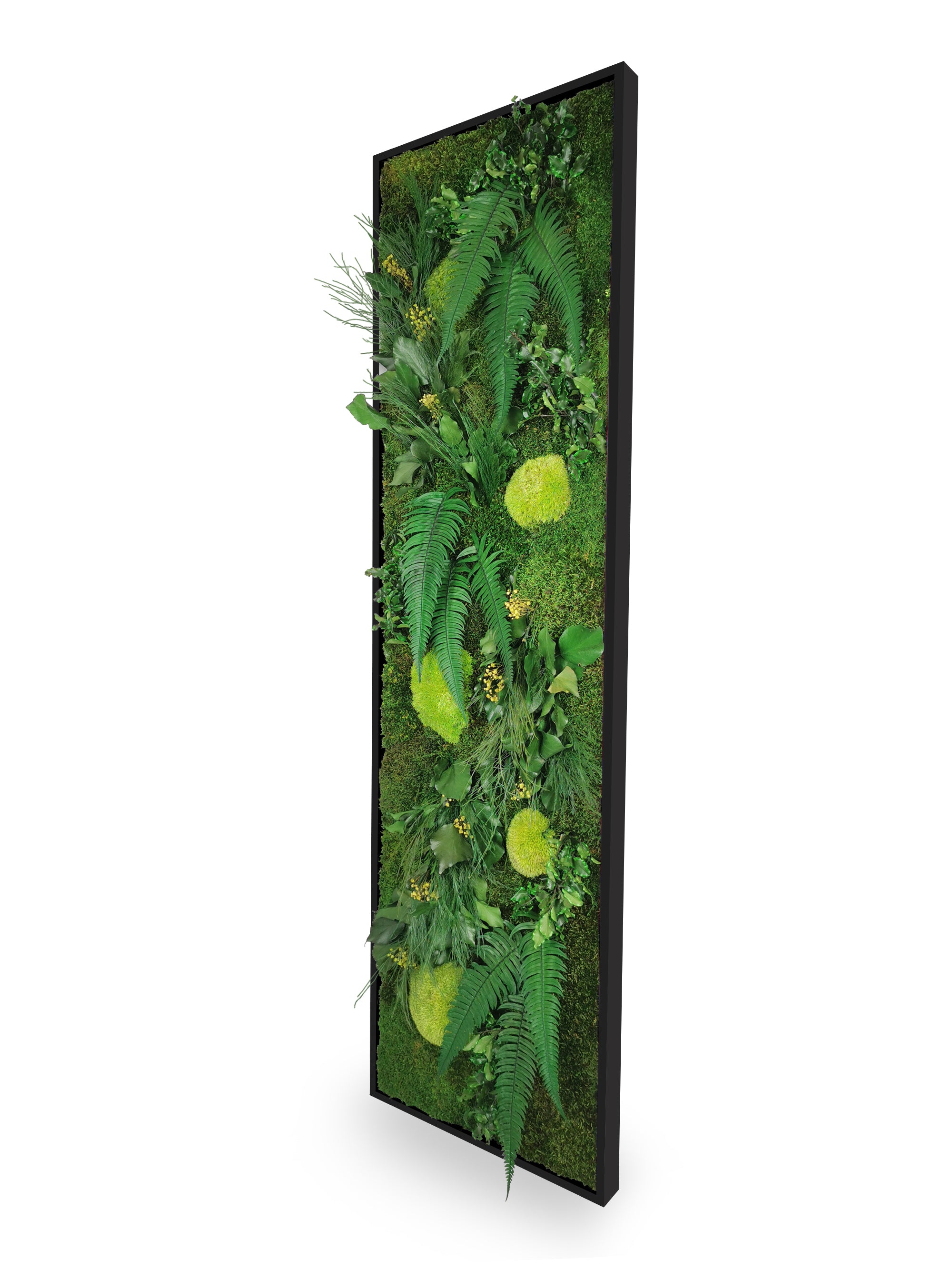 Tableau végétal naturel stabilisé Elegance 40x140