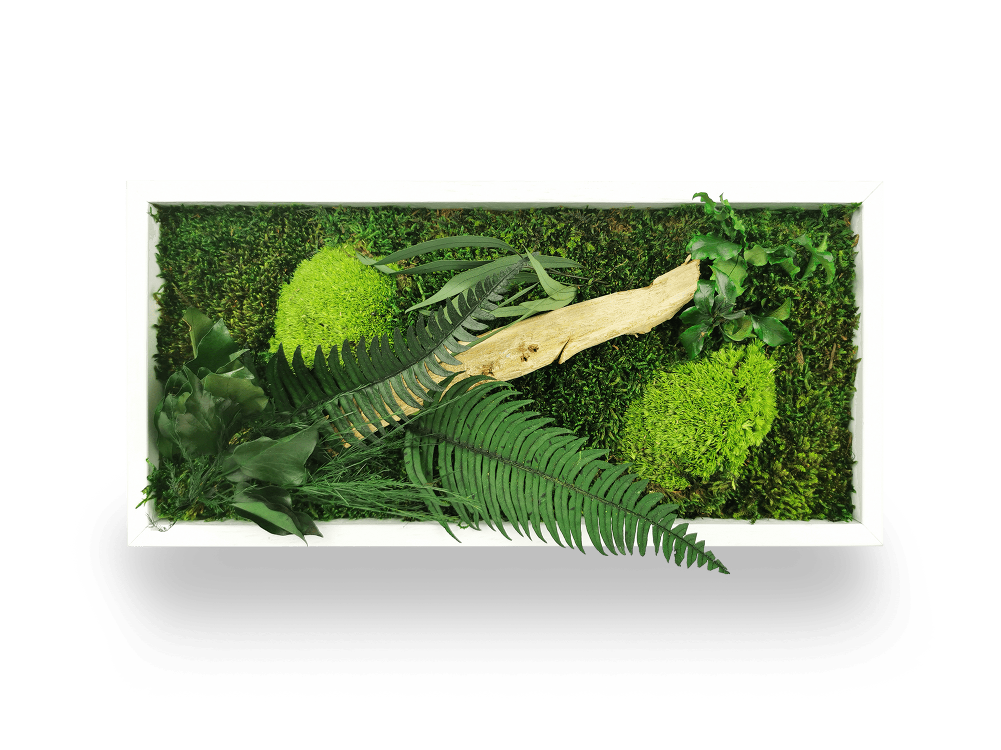 Tableau végétal naturel stabilisé Wood 18x38
