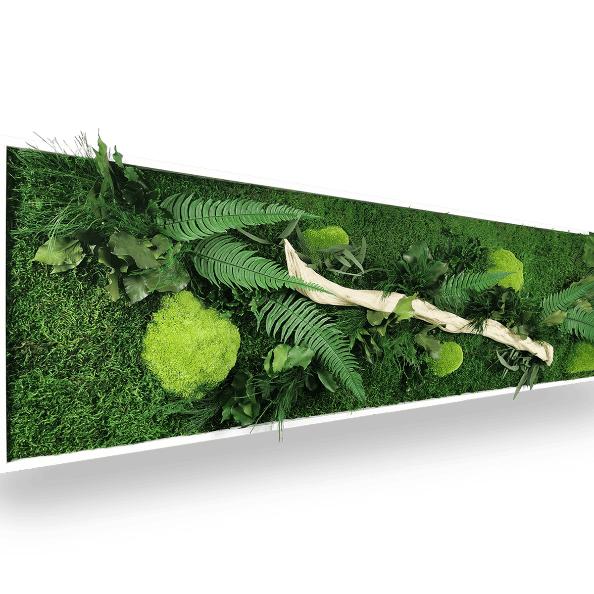 Tableau Végétal Mural Avec Plantes Artificielles Grasses Et Cadre Bois -  40x30cm