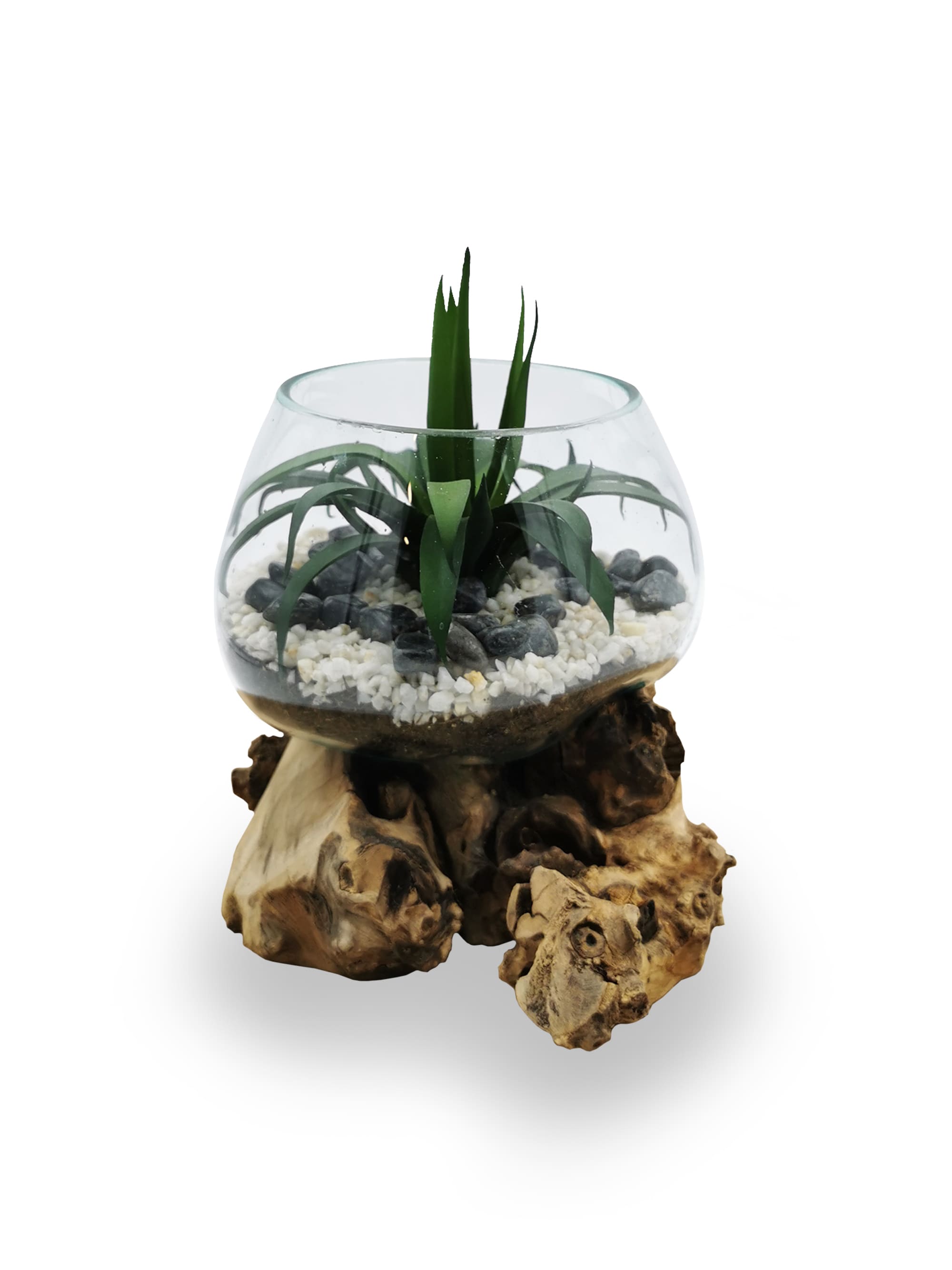 Terrarium artificiel végétale Calie Aloé/Cactus/Agave